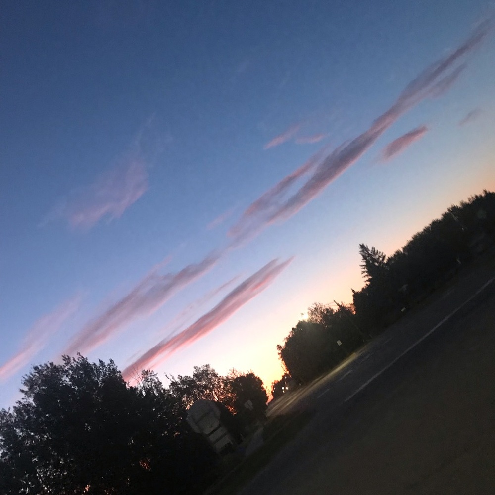 Meet your Posher, Hanna